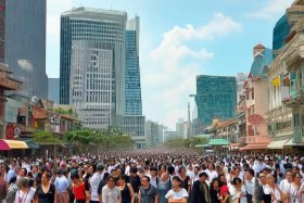 澳门常驻人口多少2024 澳门常驻人口多少2024年