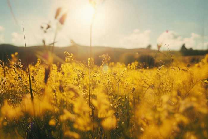 稻草人包包logo标志（稻草人包包logo标志是ME还是MC）