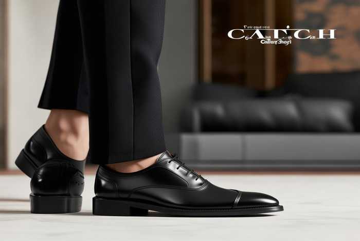 coach官网旗舰店男士皮鞋、coach官网旗舰店男士皮鞋是真的吗