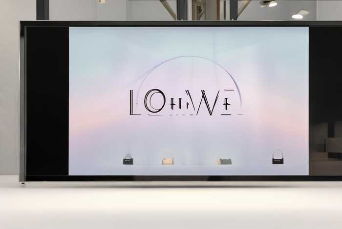 loewe官网中国官方网站，loewe官网中国官方网站入口