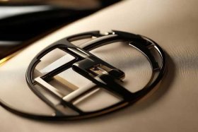 芬迪的商标logo图片（芬迪的商标logo图片是什么）