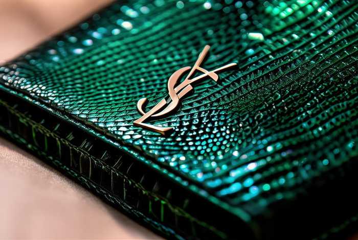 ysl 官网中国包包蜥蜴皮、ysl 官网中国包包蜥蜴皮是真皮吗