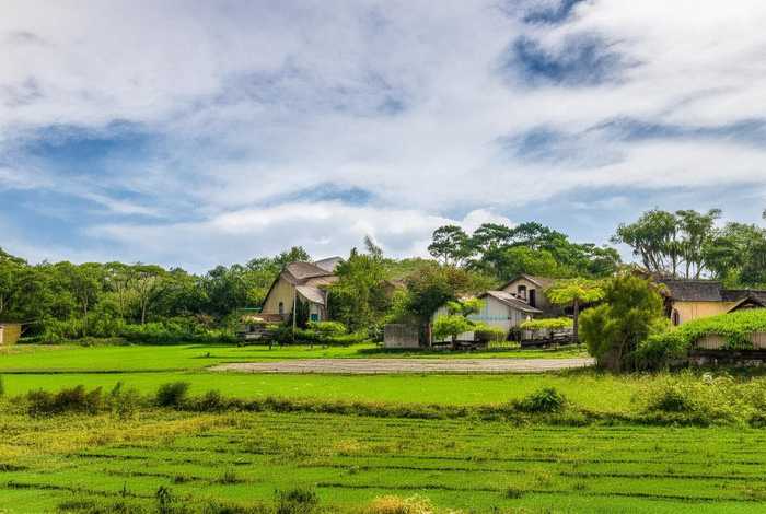 稻草人包包直播（稻草人包包直播脚本）