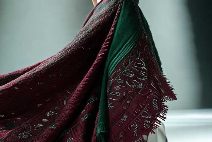 迪奥2022 迪奥2022秋冬披肩