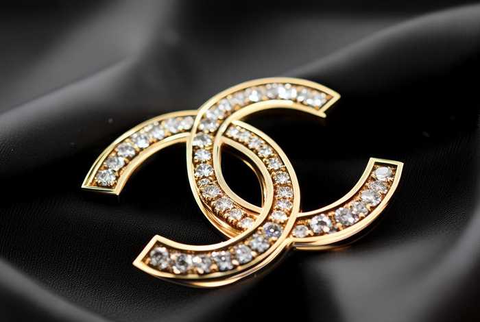 chanel 官网胸针 chanel官网胸针价格