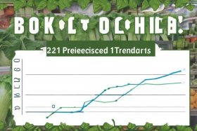 2022年包包菜行情预测 包菜价格年行情走势2021