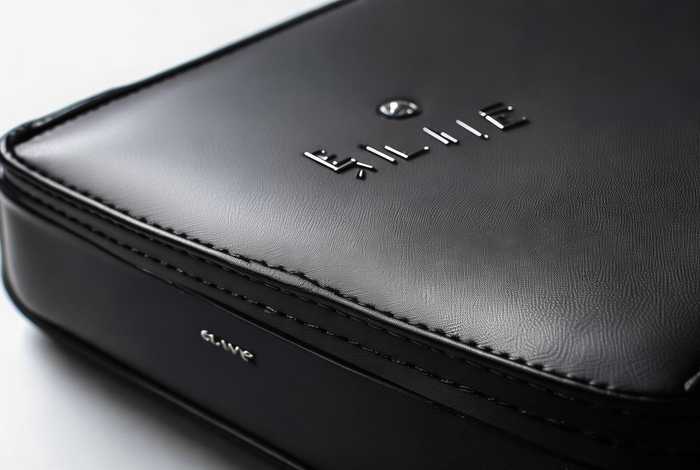 celine包包鲶鱼nano - celine鲶鱼包nano细节