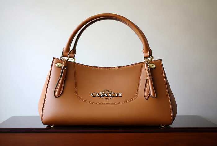 coach有1000左右的包嘛、coach一千左右女包