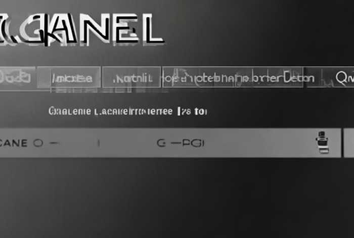 chanel批号查询（chanel批号查询平台）