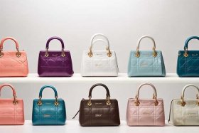 迪奥女士包包价格和图片大全（迪奥女士包包价格和图片大全集）