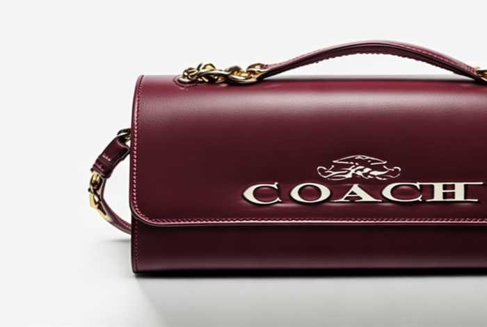 coach官网价目表（coach官网价格查询）