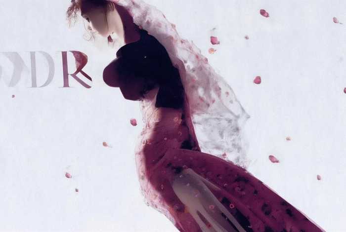 dior家的戴妃包多少钱一个（dior家的戴妃包多少钱一个二手）