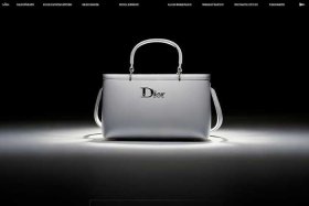 迪奥包包官网入口，迪奥包包官网入口网址