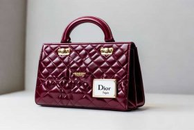 迪奥戴妃包包官网价格颜色；迪奥戴妃包官网价格 小号