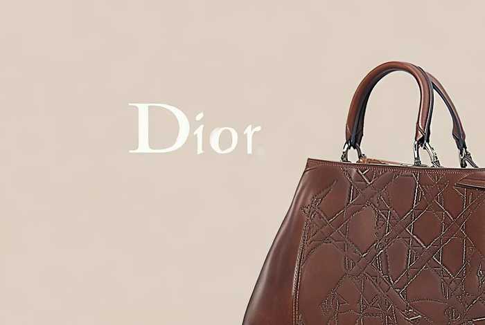 迪奥包包品牌的标志和特征 - 迪奥包包品牌的标志和特征介绍