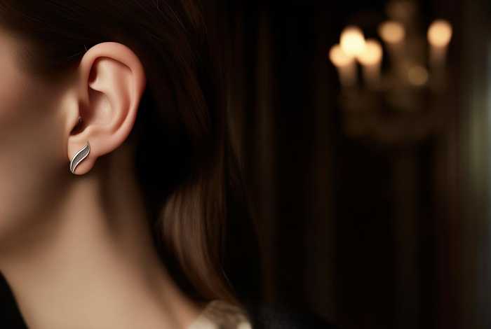 chanel的耳钉、chanel耳钉是银的吗