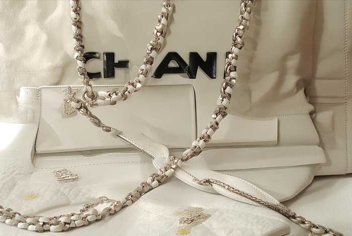 chanel流浪包价格 - chanel流浪包国内价格