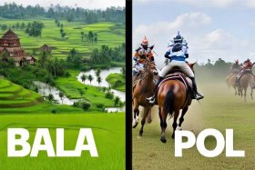 Bala和Polo的区别，bala和polo的区别