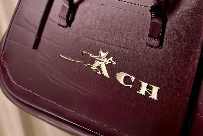 包包的奢侈品牌有哪些品牌coach（包包的奢侈品牌有哪些品牌logo）