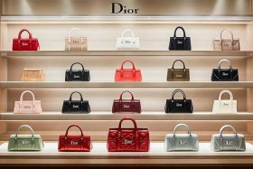 迪奥包包系列产品介绍，迪奥包包系列产品介绍大全