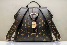 lv女包双肩背包款式及价格 - lv女包双肩背包款式及价格图片