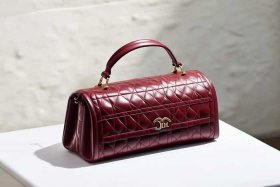 迪奥全新未使用女包（迪奥新出的包）