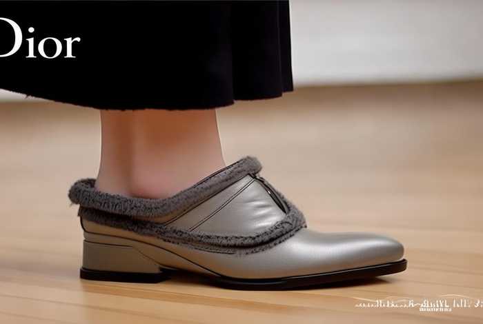 迪奥鞋子官方正品旗舰店女鞋秋冬；迪奥鞋子官方正品旗舰店女鞋秋冬新款