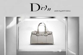 dior日本官方网站入口 dior日本官方网站入口在哪