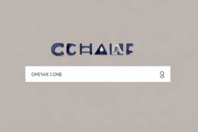 chanel官网入口查询，chanel官网查询码