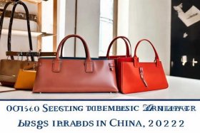 2022国内女包十大品牌排名（2020国内女包品牌排行前十）