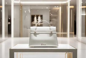 dior包迪奥官方旗舰店 dior包包官网旗舰店
