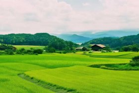 稻草人包包是几线品牌，稻草人包包是几线品牌的