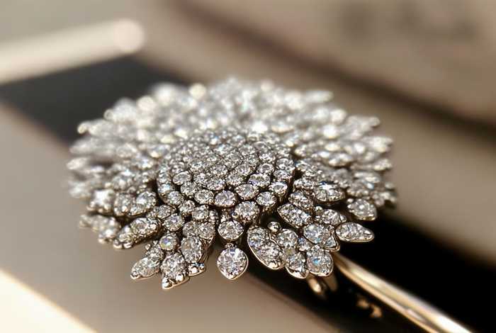 chanel胸针鉴定 chanel胸针鉴定点