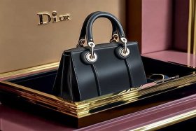 迪奥戴妃包多少钱一个；迪奥戴妃包多少钱一个盒子