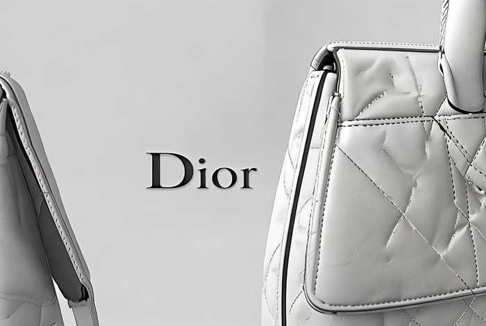 迪奥官网真假鉴别 迪奥官网真假鉴别图