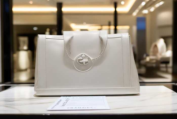 chanel全球购（chanel包 全球购买记录）