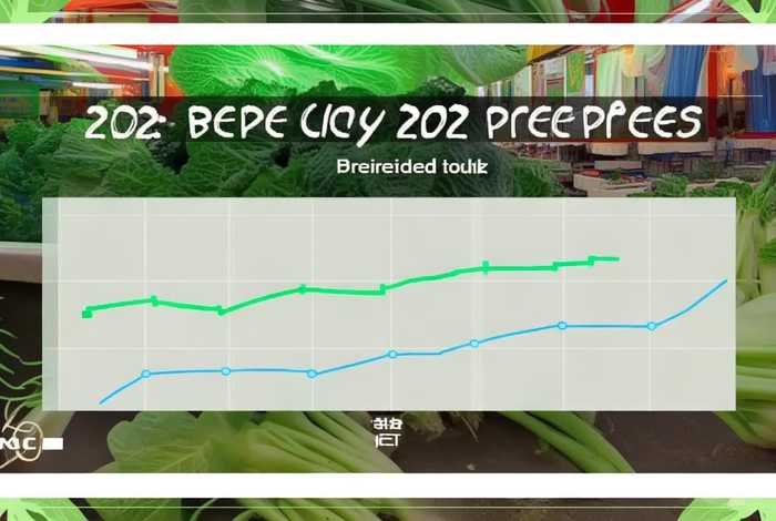 2022年包包菜行情预测 包菜价格年行情走势2021 2022年包包菜行情预测 包菜价格年行情走势2021