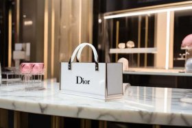 dior法国官方网价格、dior法国官网价格查询