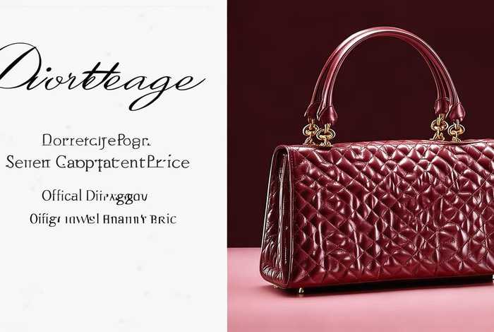 迪奥戴妃包七格价格、迪奥戴妃包官网价格