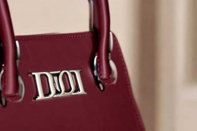 迪奥包标志logo（迪奥包标志logo图片）