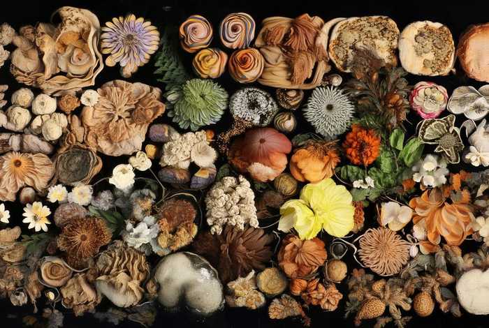 低端包包品牌有哪些（低端包包品牌有哪些牌子）