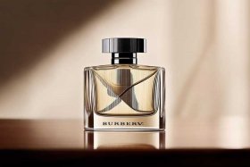 巴宝莉官网官方旗舰店香水 - 巴宝莉官方旗舰店香水价格