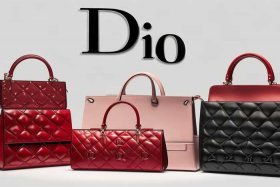 迪奥包包的logo是什么样的图片；迪奥包包的logo是什么样的图片大全