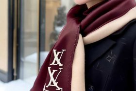 路易威登官网旗舰店围脖（路易威登官方旗舰店官网围巾）