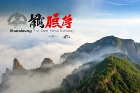 山东品牌大全、山东品牌大全泰山