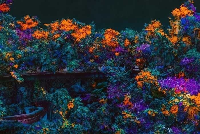 蔻驰商标图片logo(蔻驰商标图片 大图) 蔻驰商标图片logo(蔻驰商标图片 大图)