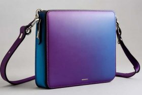 女士装手机小包包新款斜挎，女士装手机的斜挎包图片大全