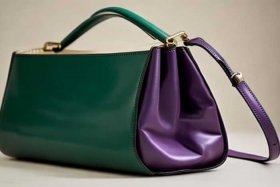 女士小挎包新款图片（女士小挎包新款图片大全）