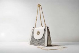 女式提包图片价格（女式提包图片价格大全）