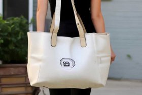 女士帆布单肩包斜挎包品牌（女士帆布单肩包斜挎包品牌有哪些）